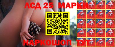 прущие крисы Нарткала