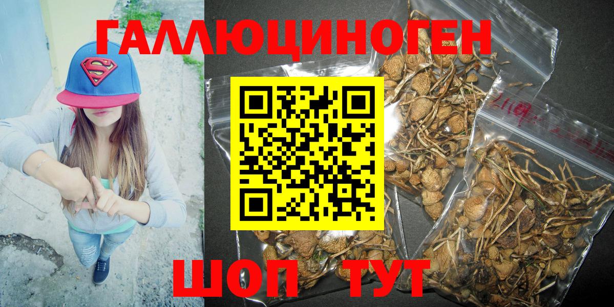 Псилоцибиновые грибы GOLDEN TEACHER Реутов